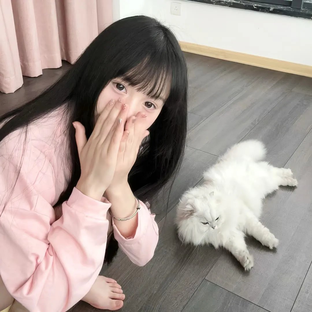 阿尔及利亚天空下