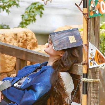 史宾赛的机密任务